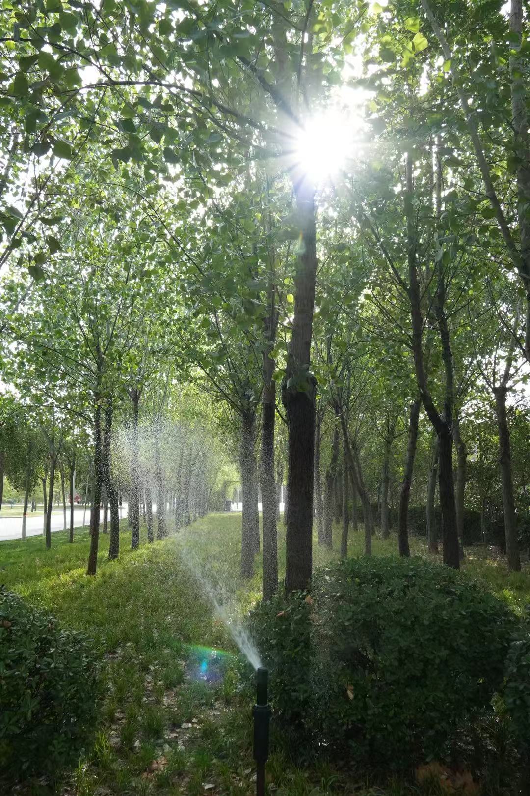 Scenery near the Stadium, ZhengZhou University